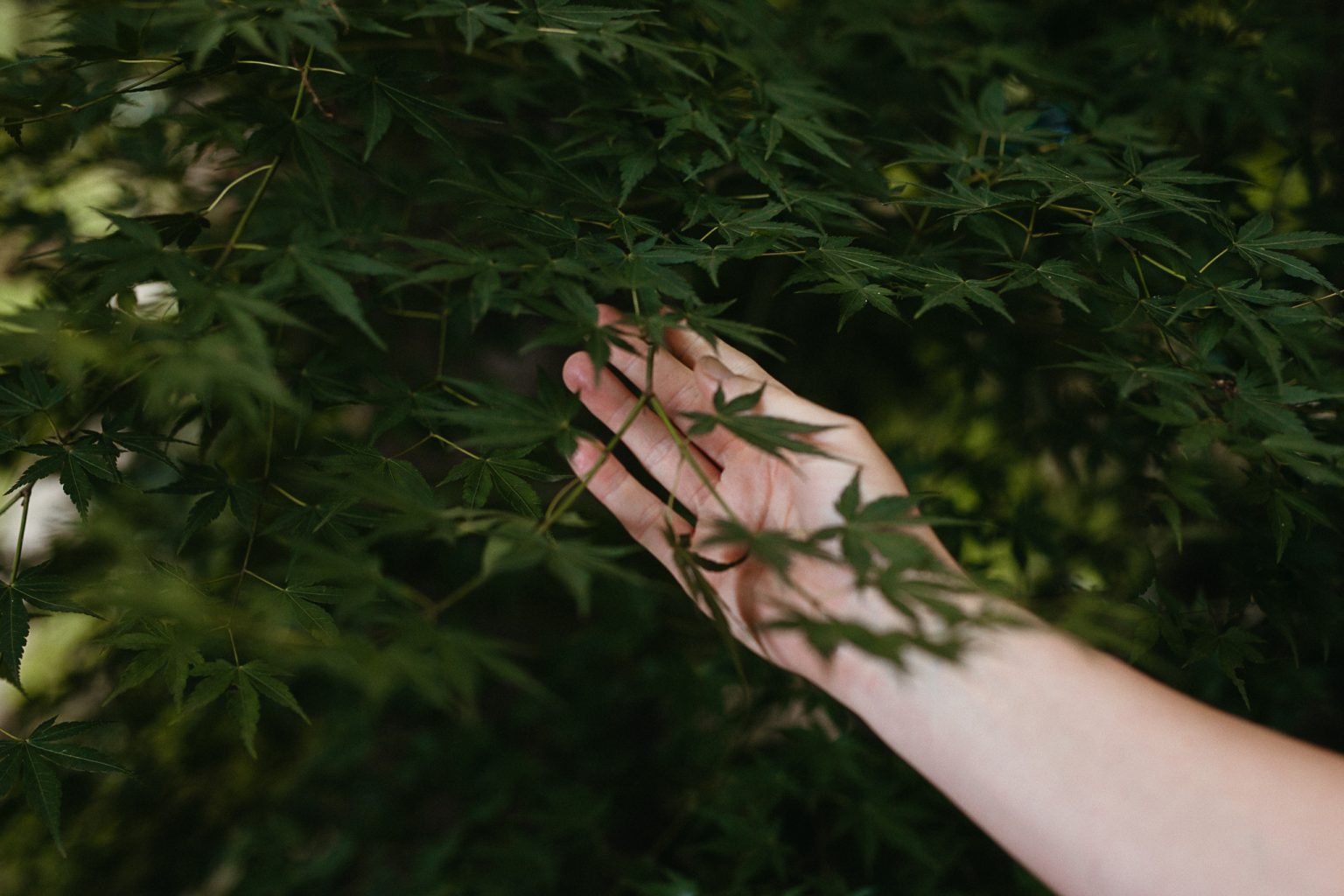 Stefanie Schnier Coaching / Foto: Laura Sophie Jung