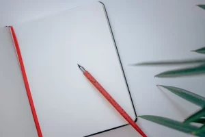 journaling, verborgene Muster aufdecken – Stefanie Schnier, Foto © Nicole Maag