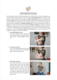 Selbstregulierung Übungen download – Stefanie Schnier